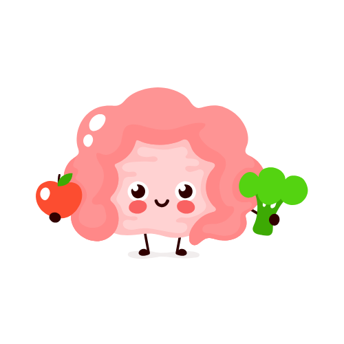 Gut Health Booster